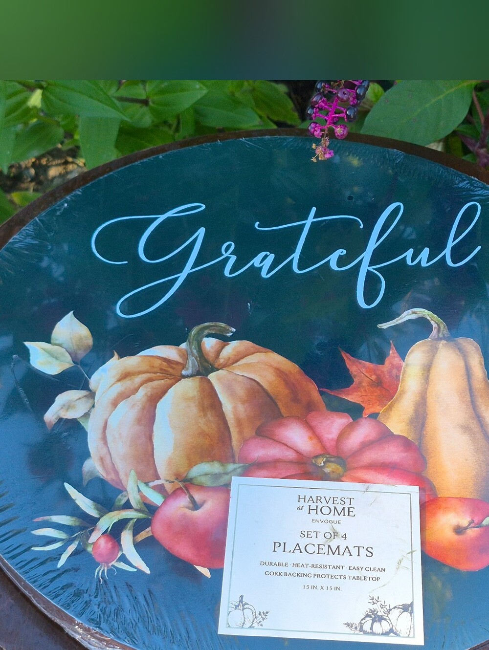 Harvest at Home Grateful Pumpkin Placemat Set - Autumn Multicolor (Set of 4)